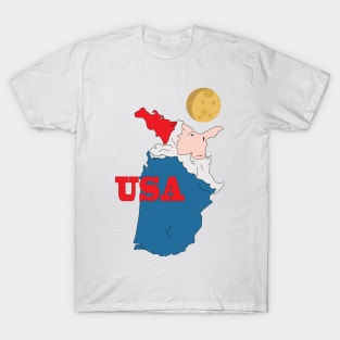 A funny map of the USA T-Shirt